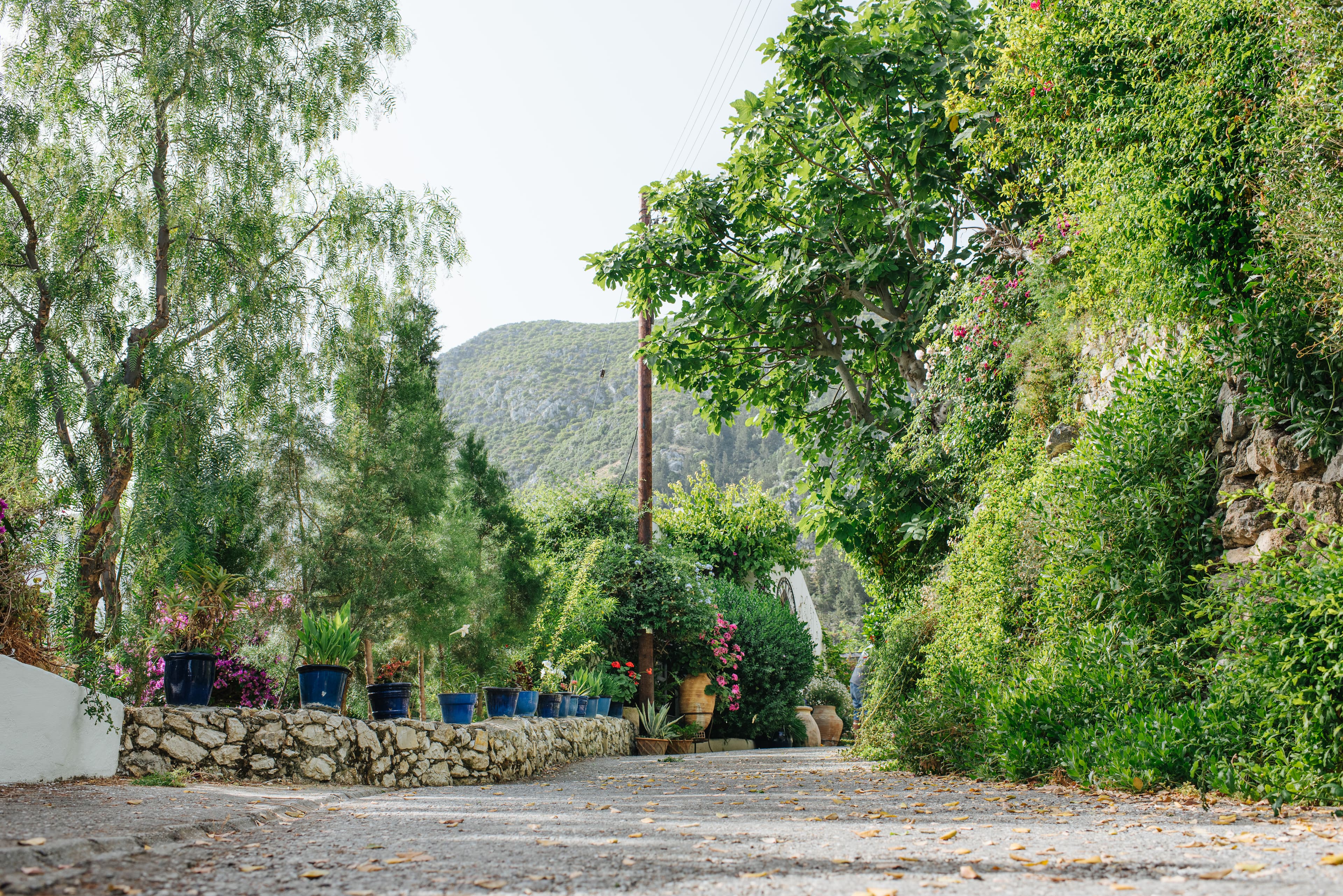 Kibris Developments